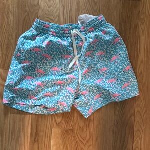 Chubbies Blue and Pink Patterned Swim Shorts